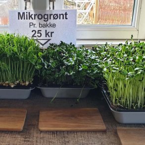 Mikrogr�nt Radise